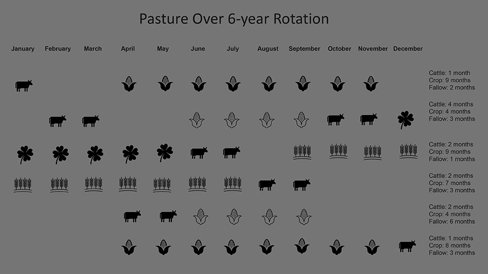 pasture rotation